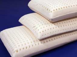 Latex Foam Pillow with Cover