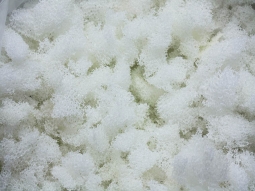 Shredded Dryfast Foam - 15"x15"x72"